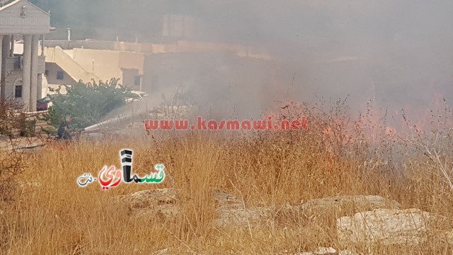 كفر قاسم -فيديو:اندلاع حريق في منتزة عبد الكريم قاسم وطواقم الاطفاء تسيطر على الحريق